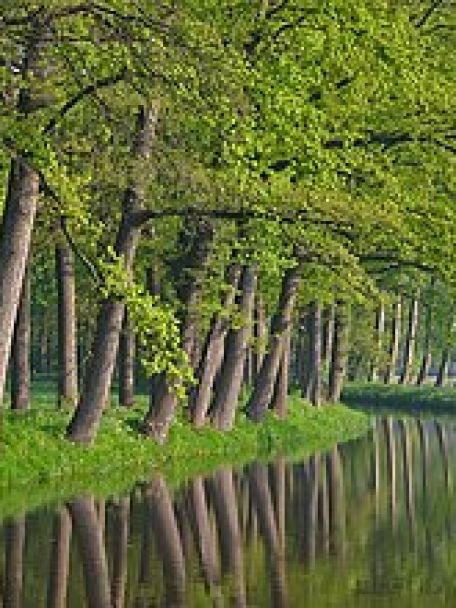 Het Aa-dal is eeuwenoud Nederlands cultuurlandschap, vrijwel onaangetast, stil, groen en verrassend gevarieerd.