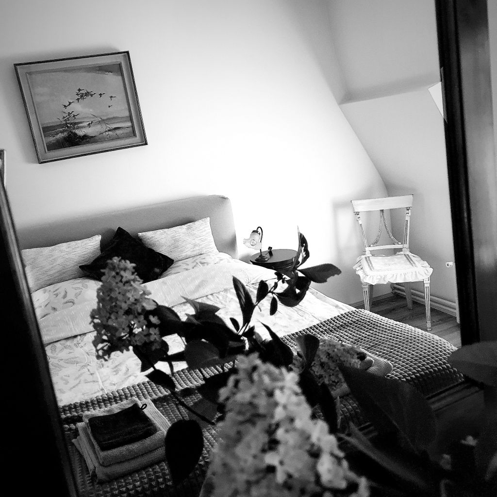 22277-d4434430-98fe-4d09-af93-f1555ab00fcd.jpg