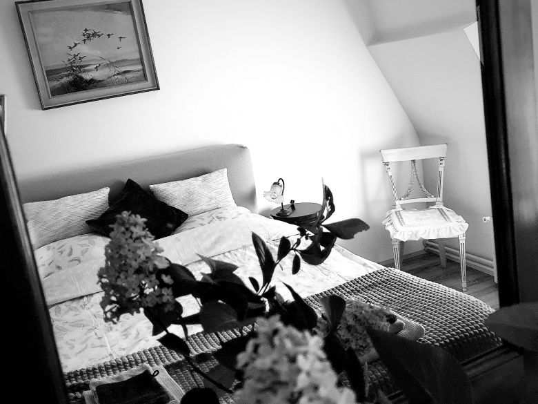 22277-d4434430-98fe-4d09-af93-f1555ab00fcd.jpg