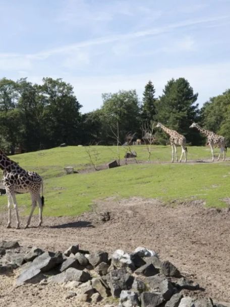 GaiaZOO, vernoemd naar de godin van de aarde, is meer dan alleen een dierentuin.
