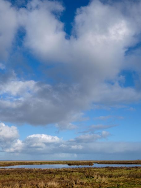 The vast salt marsh area of Het Noorderleeg is a lovely place for a walk.