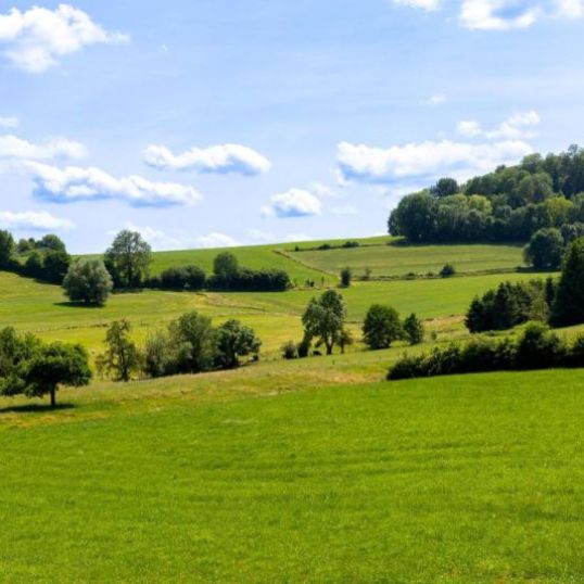 La belle Maison