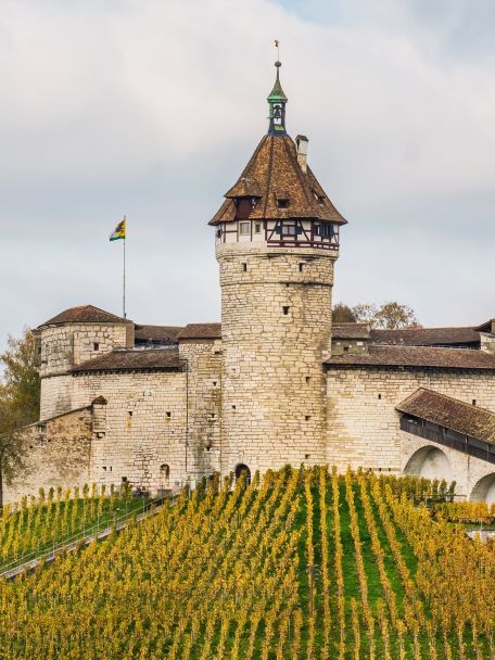 Je zit hier midden in de streek van Armagnac, de oudste brandewijn van Frankrijk. Bij lokale domeinen kun je proeven en leer hoe deze drank wordt gemaakt.
