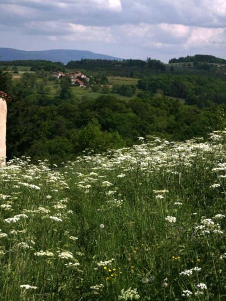 There are two regional nature parks in the area, offering a wide variety of beautiful natural landscapes and an enormous wealth of flora and fauna.