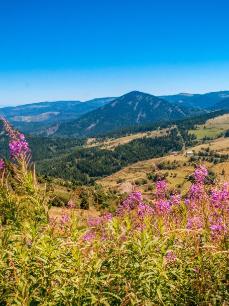 Auvergne is unspoilt and green, and is known for its ancient volcanoes, such as the Chaîne des Puys and the iconic Puy de Dôme.
