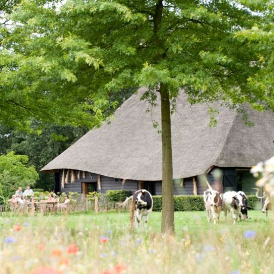 Landgoed De Hoevens - De Vlaamse schuur