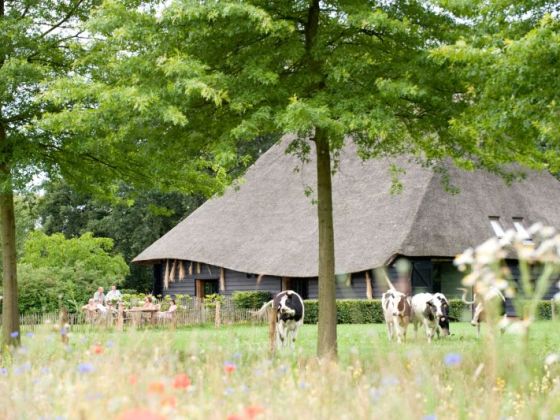 Landgoed De Hoevens - De Vlaamse schuur
