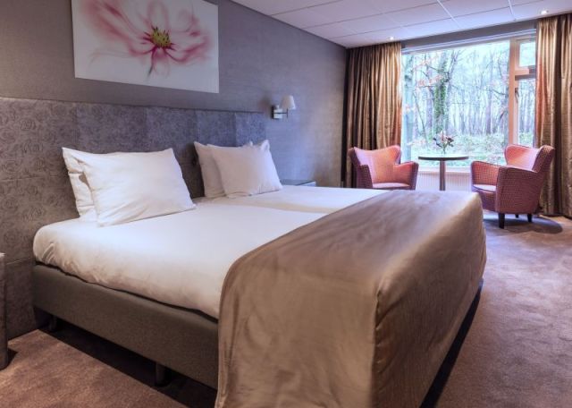 Deluxe Kamer met airco
