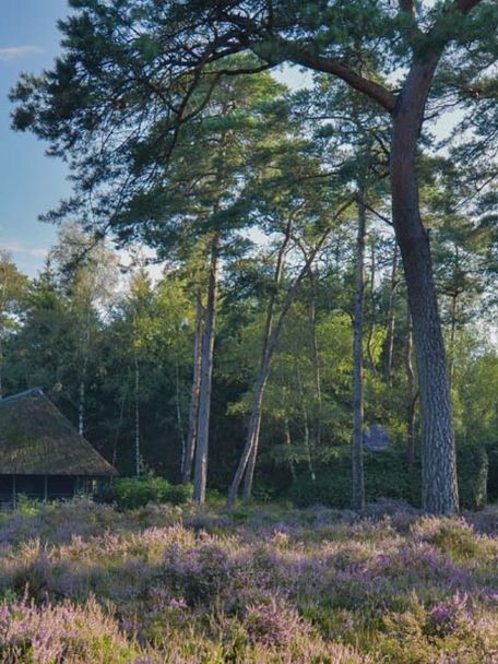 Voor wandelingen in de natuur hoef je het landgoed niet eens af, want dat biedt 240 ha aan prachtig bos met eeuwenoude bomen.