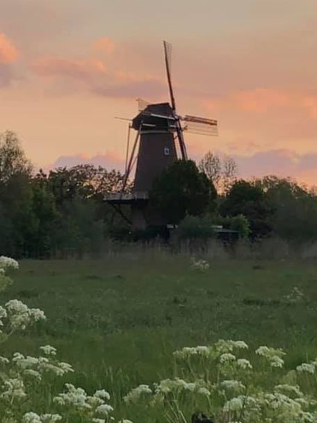 If you have time to spare: the Kinderdijk Windmills – 19 windmills in a row – are a UNESCO World Heritage Site and are particularly worth a visit at sunrise or sunset.