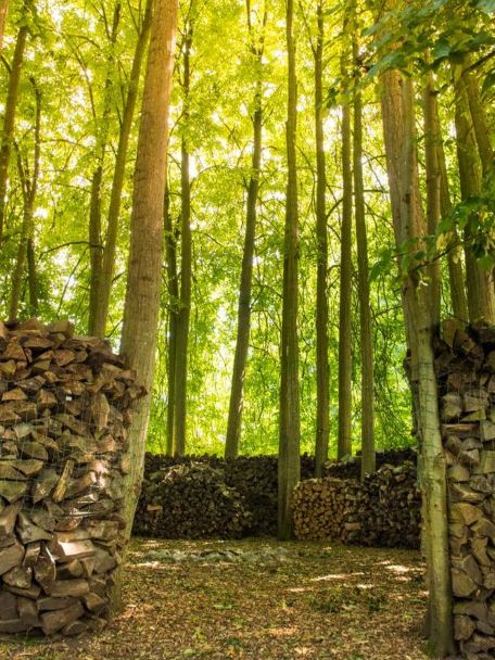 Welbeschouwd hoef je het landgoed absoluut niet af om in de natuur te zijn en je benen eens flink te strekken.