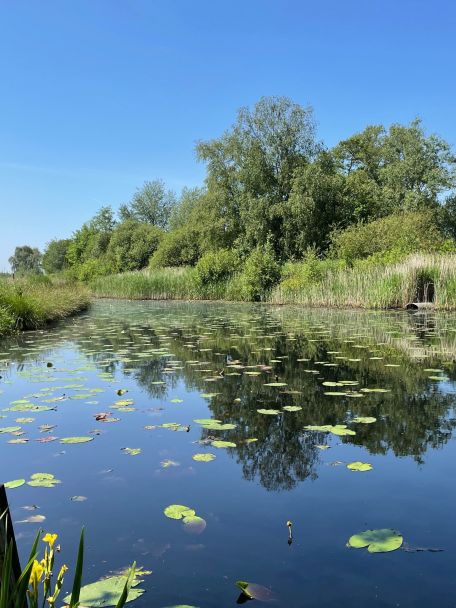 De Zeven Bossen van Beetsterzwaag, ontstaan door de aanleg van landgoederen en buitenplaatsen, zijn een uniek landschap met een rijke geschiedenis.