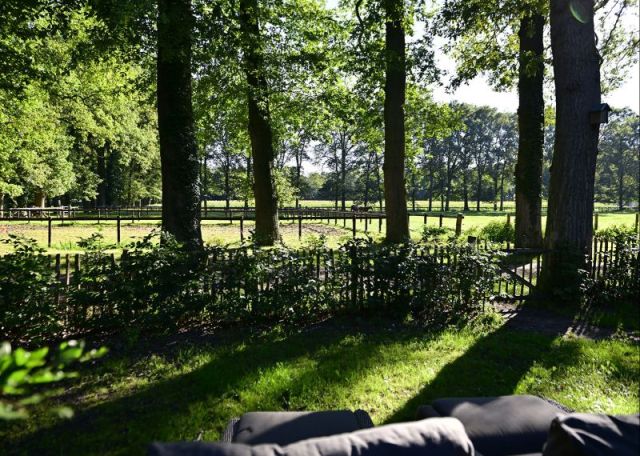 De Hoge kamer
