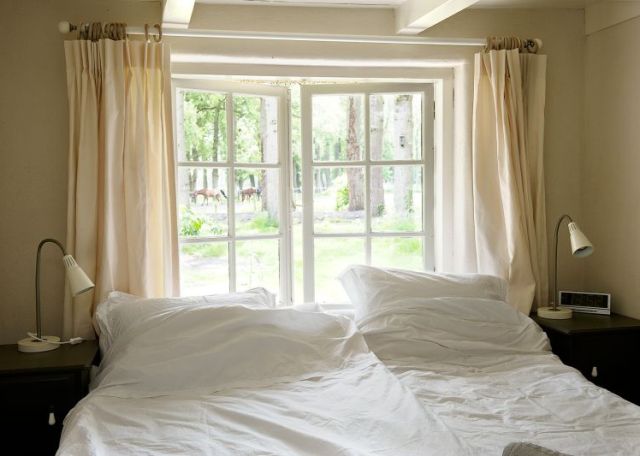 De Lage kamer