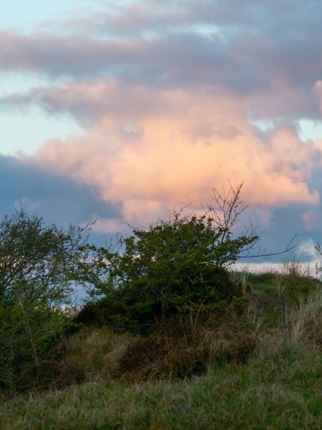 Schiermonnikoog verkennen? De oversteek is zo gemaakt!