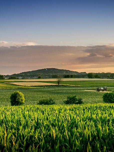 If you like panoramic views, you should definitely visit the Kemmelberg: 154 to 156 metres above sea level and famous for its cycling.