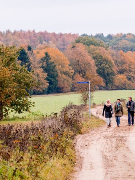 De route langs de “Stuw bij Wichmond” geeft typisch Achterhoeks landschap: water, weilanden en kleine bosjes.