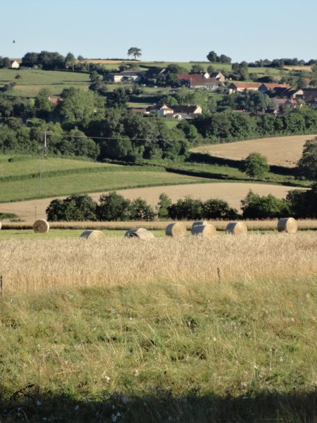Natuurpark Le Morvan heet ook wel het groene hart van de Bourgogne en is een waar paradijs voor wie graag een wandeling maakt.