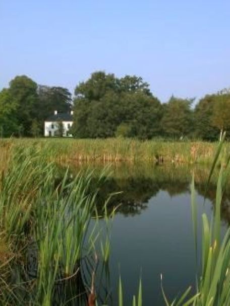 Landgoed Vledderhof maakt deel uit van een uitgestrekt natuurreservaat dat onderdeel is van het bijzondere Drents Friese Wold.