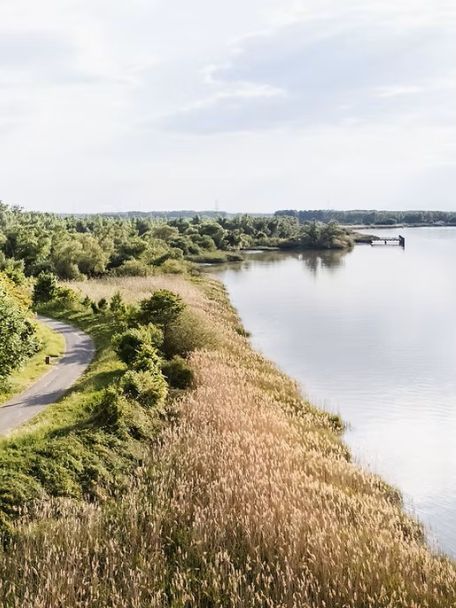 De rivier de Schelde is de levensader van deze regio. Je vindt er schorren, slikken, overstromingsgebieden en natte natuur.