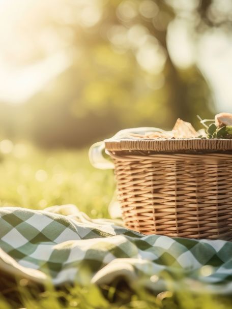 Neem een picknick mee voor een tussenstop op een onbewoond eilandje op je vaarroute.