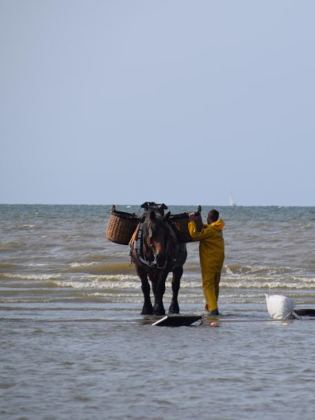 The ‘Shrimp Fishermen on Horseback’ in Oostduinkerke – which literally means that the fishermen ride into the sea on horseback – are truly unique and are also a UNESCO World Heritage Site.