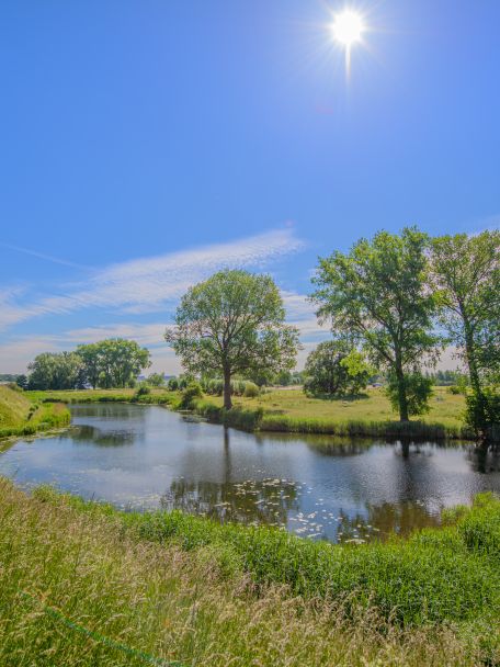 Although there is plenty to do and see at Loevestein, you can also enjoy the natural surroundings and the river landscape in the area.