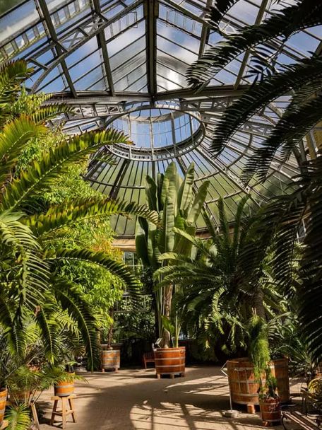 De historische botanische tuin met tropische kassen, de Hortus Botanicus, is een oase van rust in de stad.