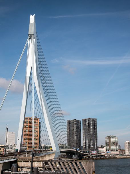 De iconische Erasmusbrug (ook wel “De Zwaan”) verbindt noord en zuid. Een wandeling hier geeft je mooie uitzichten op de skyline en de Maas.