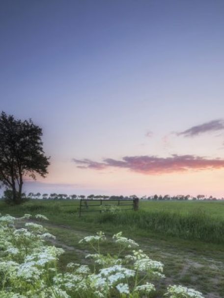 In the Staphorst countryside, you cycle past picturesque farmhouses, meadows and ditches, and through quiet villages.
