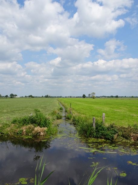 Olde Maten is a beautiful nature reserve. It is an old peat meadow area with long ditches, reed beds, little bridges and plenty of birds.