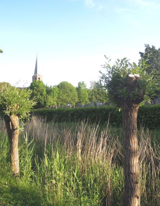 Vakantiehuis VADO