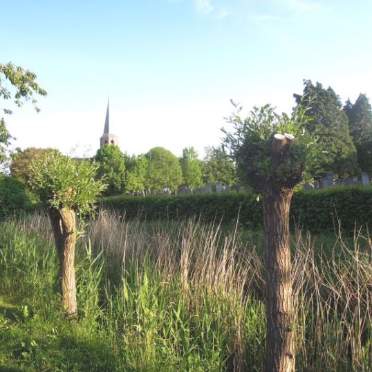 Vakantiehuis VADO